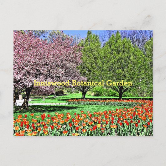 "DE SPRING KOMT AAN INNISWOOD BOTANICAL GARDEN" BRIEFKAART (Voorkant)