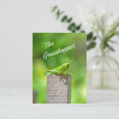 De sprinkhaan briefkaart (Staand voorkant)