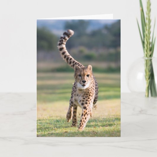 De sprint kaart (Voorkant)