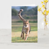 De sprint kaart (Gele Bloem)