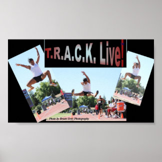 De sprong van een leven tijd... poster