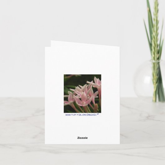 De Sprong van Katydid van het baby van de Kaart (Achterkant)