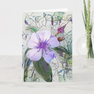 De Squiggly Series - Paarse Kaart