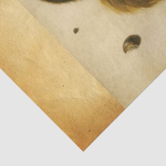 DE SQUIRREL MET NUTS-Albrecht-urer Tissuepapier (Detail)