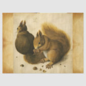 DE SQUIRREL MET NUTS-Albrecht-urer Tissuepapier (Voorkant)