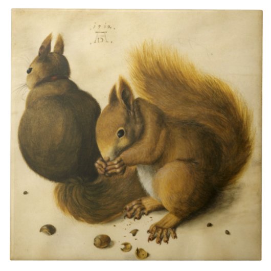 DE SQUIRREL MET NUTS door Albrecht Durer Tegeltje (Voorkant)