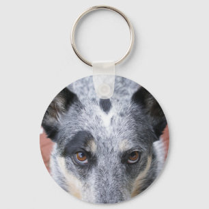 De staar neer - een cowdog blik sleutelhanger