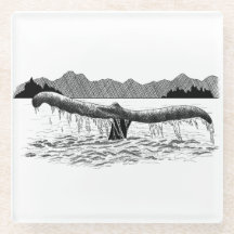 De staart van de walvis