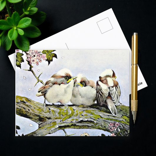 De staartmees, Edward Julius Detmold Briefkaart