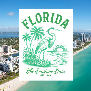 De staat Florida ligt in de Sunshine State. 1845 V Briefkaart