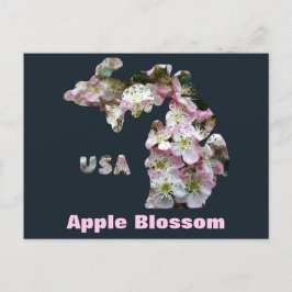 De staat Michigan en Apple Blossoms Briefkaart