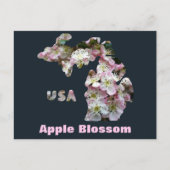 De staat Michigan en Apple Blossoms Briefkaart (Voorkant)