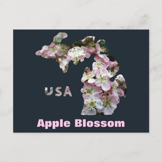 De staat Michigan en Apple Blossoms Briefkaart (Voorkant)