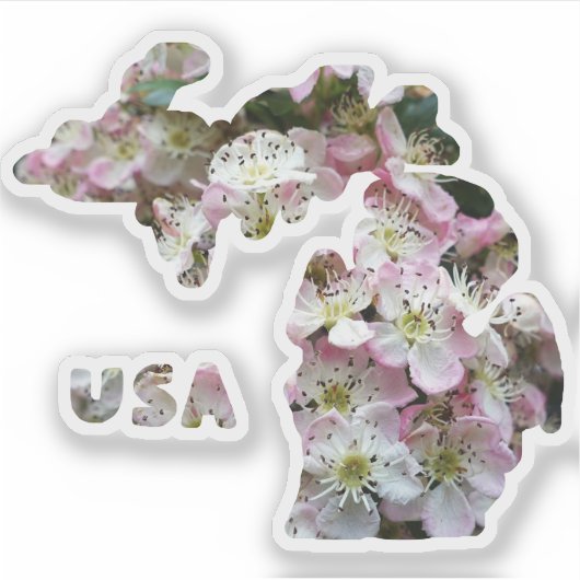 De staat Michigan en Apple Blossoms Sticker (Voorkant)