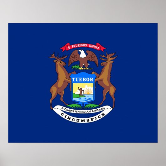 De staat Michigan Flag Poster (Voorkant)