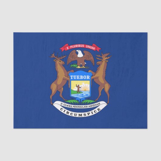 De staat Michigan Flag Tissuepapier (Voorkant)