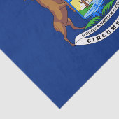 De staat Michigan Flag Tissuepapier (Detail)