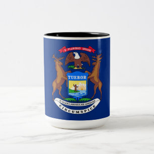 De staat Michigan Flag Tweekleurige Koffiemok