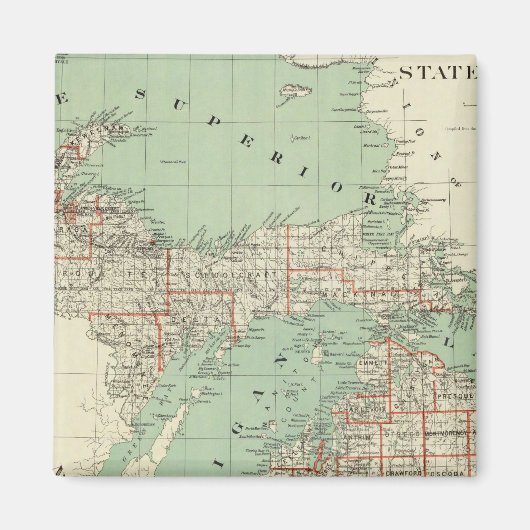 De staat Michigan Magneet (Voorkant)