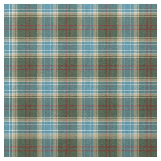 De staat Michigan Tartan Stof (Close Up)