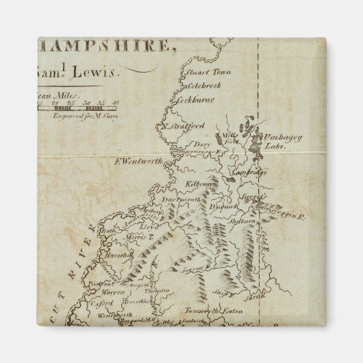 De staat New Hampshire Magneet (Voorkant)