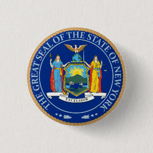 De staat New York Flag Seal Button