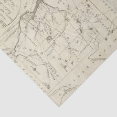 De staat Rhode Island Tissuepapier (Detail)