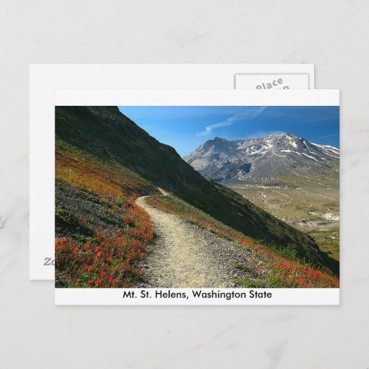 De staat St. Helens Washington Briefkaart (Voorkant / Achterkant)