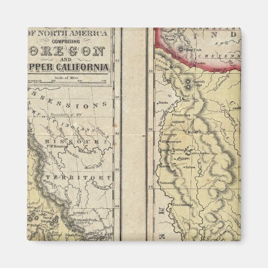 De staat Texas Magneet (Voorkant)