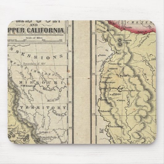 De staat Texas Muismat (Voorkant)