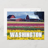 De staat Washington | Tulpenveld Briefkaart (Voorkant / Achterkant)