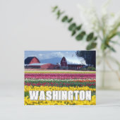 De staat Washington | Tulpenveld Briefkaart (Staand voorkant)