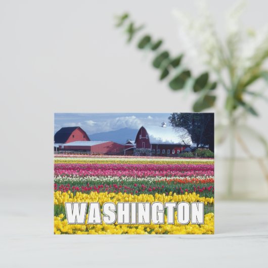 De staat Washington | Tulpenveld Briefkaart (Staand voorkant)