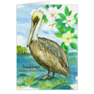 De staatsvogel van Louisiana Pelican Blank