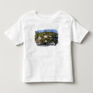 De stad Avalon op het eiland Catalina, Kinder Shirts