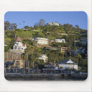 De stad Avalon op het eiland Catalina, Muismat