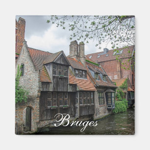 De stad Brugge in België Magneet
