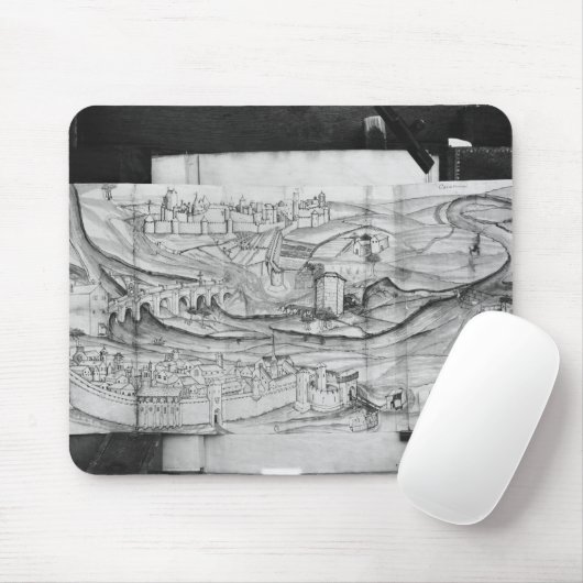 De stad Carcassonne, 1462 Muismat (Met muis)