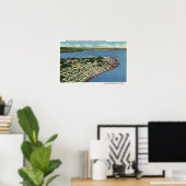 De stad die naar de baai van Young kijkt Poster (Thuiskantoor)