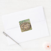 De stad Pomeiooc Vierkante Sticker (Envelop)