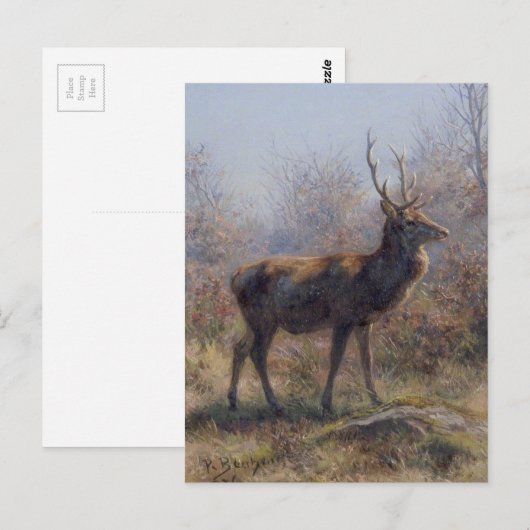 De Stag van Rosa Bonheur Briefkaart (Voorkant / Achterkant)