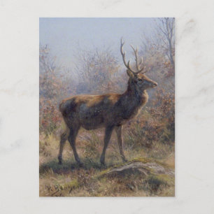 De Stag van Rosa Bonheur Briefkaart