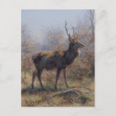 De Stag van Rosa Bonheur Briefkaart (Voorkant)