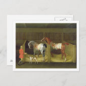 De stallen en Twee Beroemde het Lopen Paarden Briefkaart (Voorkant / Achterkant)