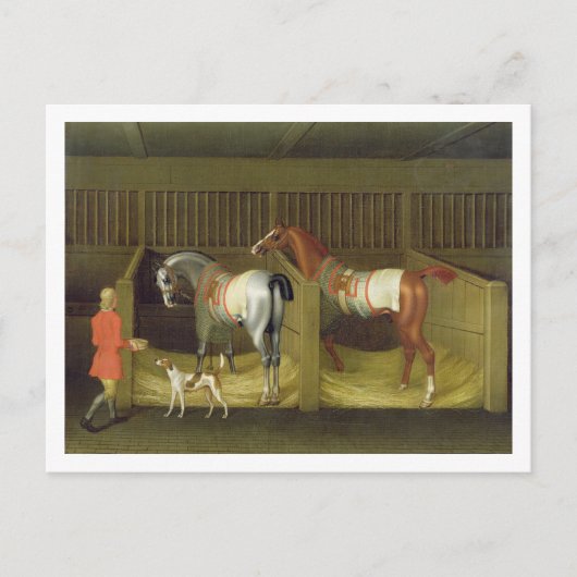 De stallen en Twee Beroemde het Lopen Paarden Briefkaart (Voorkant)