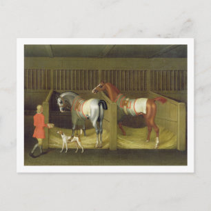 De stallen en Twee Beroemde het Lopen Paarden Briefkaart