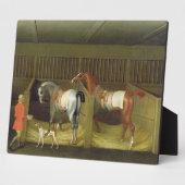 De stallen en twee beroemde rijpaarden fotoplaat (Zijkant)