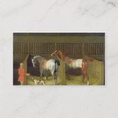 De stallen en twee beroemde rijpaarden visitekaartje (Achterkant)