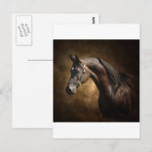 De Stallion Briefkaart (Voorkant / Achterkant)