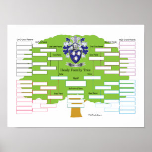De Stamboom van Healy Poster